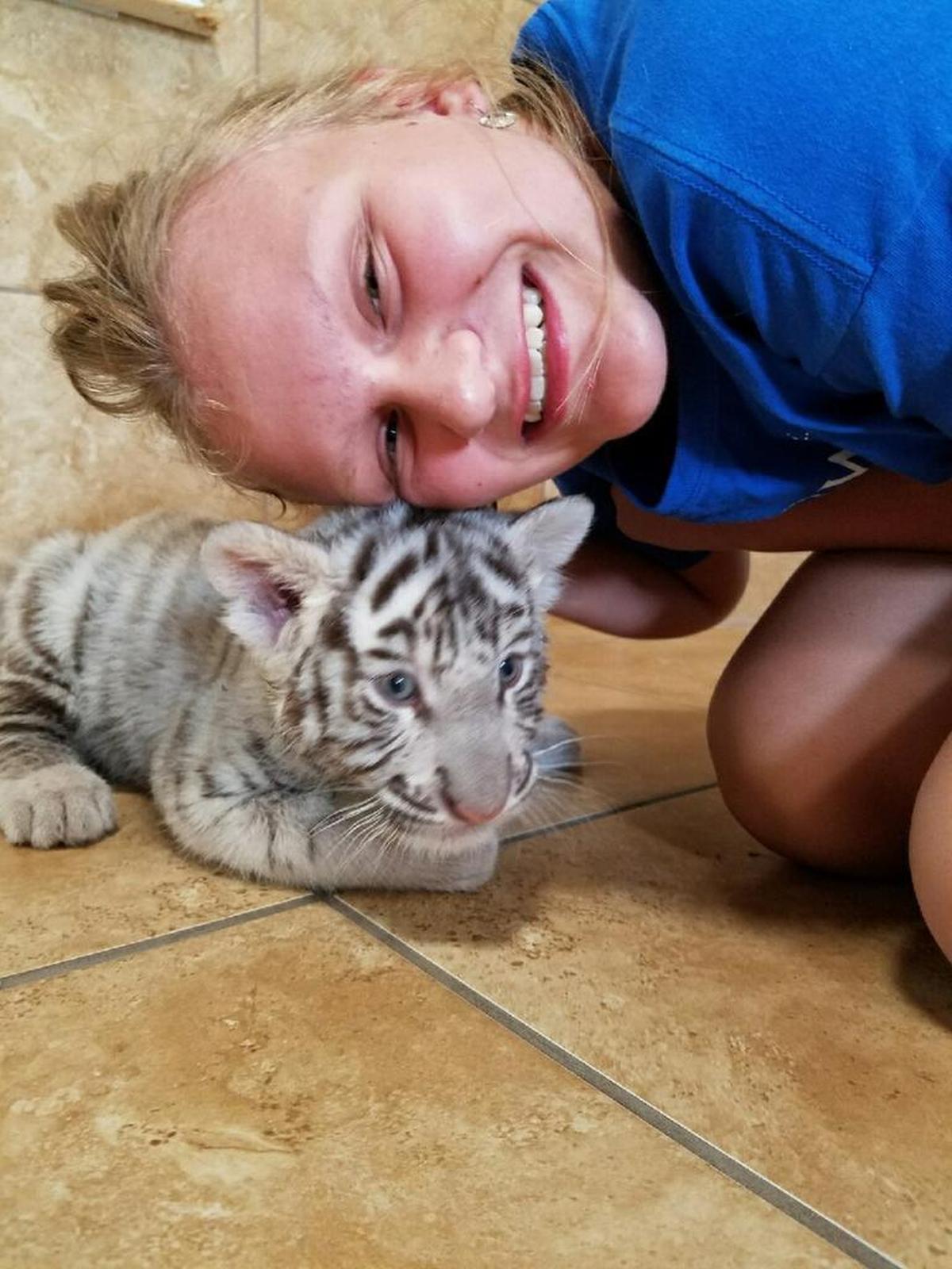 Through Make-A-Wish Illinois, Allison Higgins, 12, of Belleville, was able to make her dream of playing with a white tiger come true.