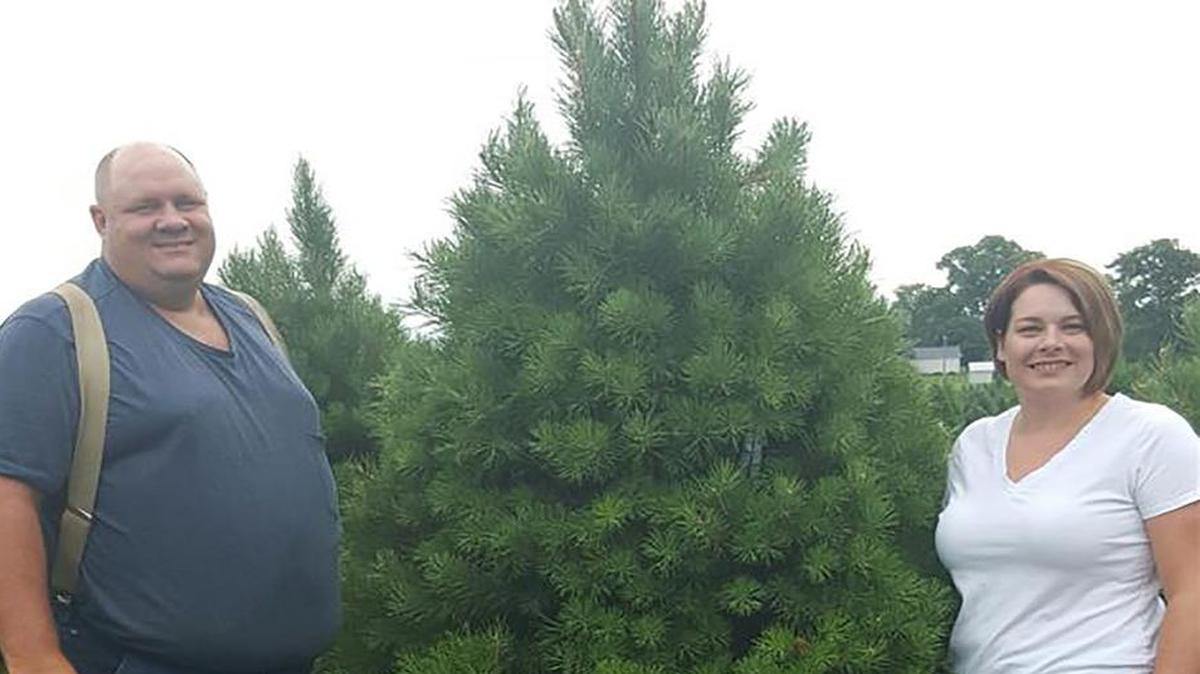 
David and Joey Daniken from Daniken Tree Farm entered this eight-foot-tall Scotch pine in the National Christmas Tree Contest this Saturday.
