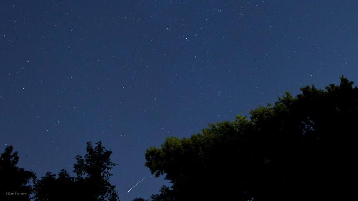 This photo of Perseid Meteor Shower was taken at Southern Illinois University Edwardsville in 2013. Besides the meteor, you can also see the Double Cluster (NGC 869) just above the tree line about center picture, and also the Andromeda Galaxy (M31) in upper right quadrant of picture.