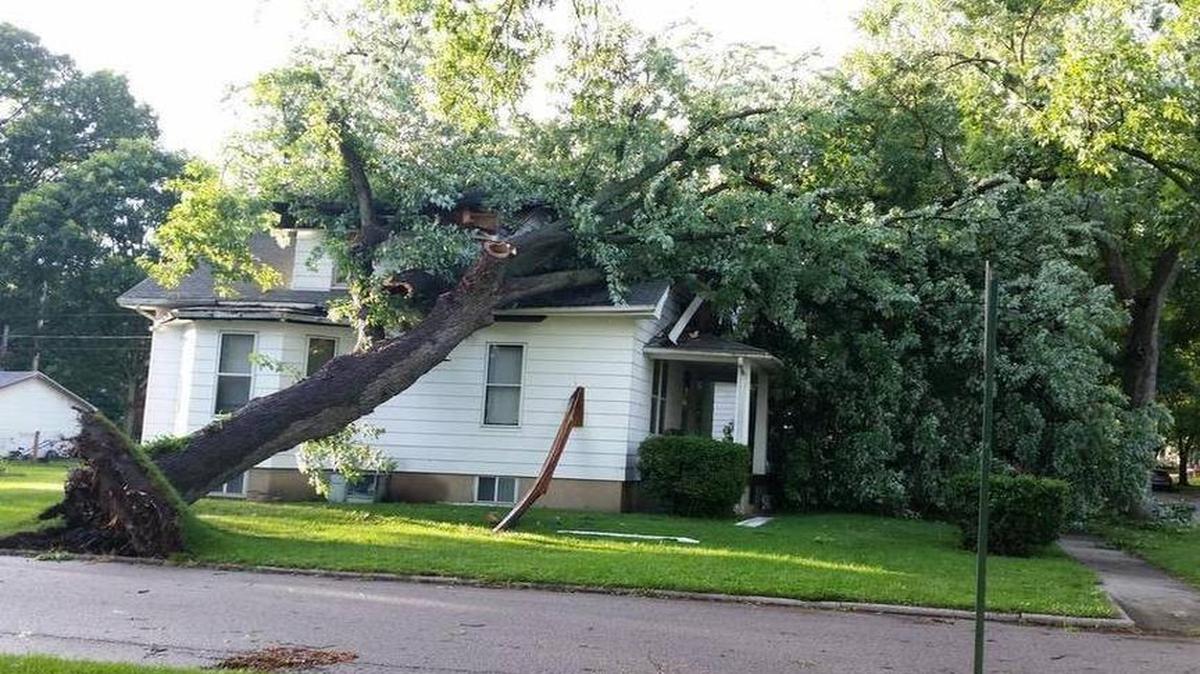 The home of Cathy Lienemann at 17th and Pine in Highland was severely damaged by an uprooted tree on July 13, 2016.