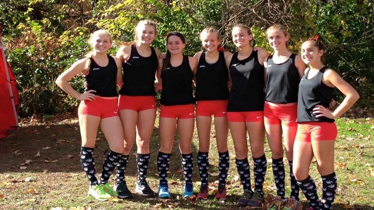 The Highland High School girls cross country team placed 20 th at the IHSA Class 2A Girls State Cross Country Meet Saturday at Detweiller Park in Peoria. The Lady Bulldogs consisted of freshman Lexy Gilliam, junior Sarah Beth Wiegman, freshman Kate Marti, senior Allison Zobrist, junior Courtney Hengehold, sophomore Breann Wernle and freshman Lily Becker.