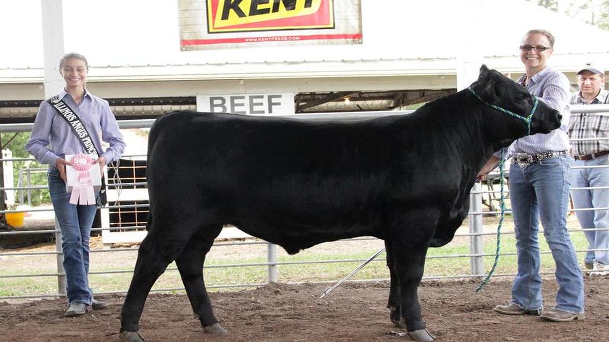 
Prusa’s Product Direct 560 won reserve grand champion bred-and-owned bull at the 2015 Southern Illinois Junior Angus Show on July 25 in Flora. Taylor Prusa of Highland owns the February 2015 son of MCATL By-Product 269-1394.


