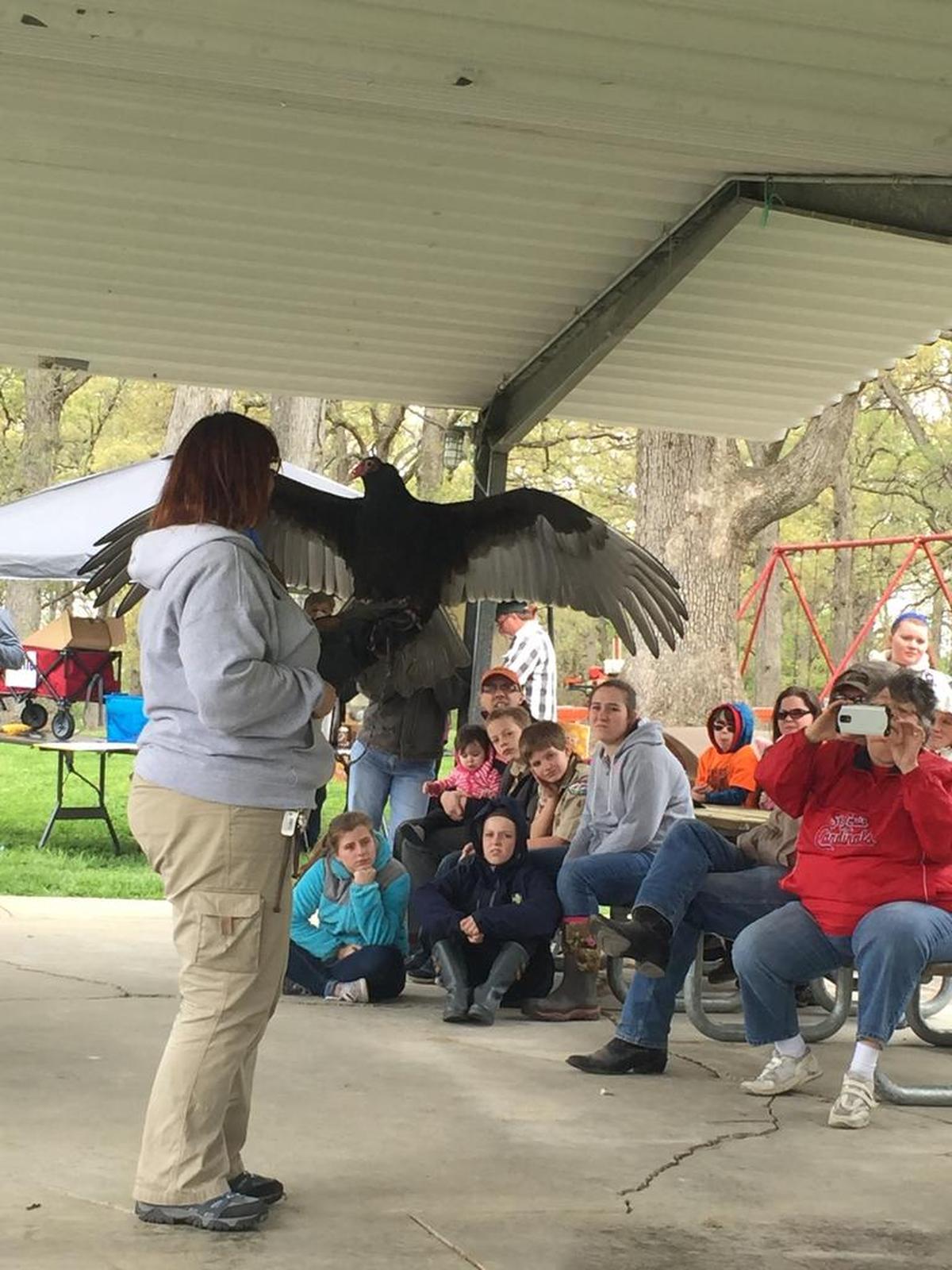 World Bird Sanctuary volunteer Sandra Low shows a Turkey Vulture named Kinsey to a crowd at the Spring Bloom Festival in 2017 at Silver Lake Park in Highland. Fast forward to 2023, Highland leaders are hoping for help from the county park commission to build a new playground at the park, decades after the former playground was burned.