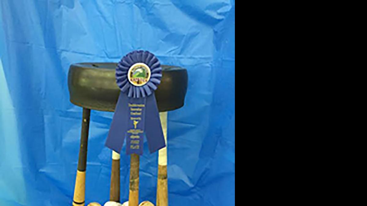 
Donny Becker of Marine Elementary tied for first place in the third- to fifth-grade individual category for his “Recycled Sports Stool.”
