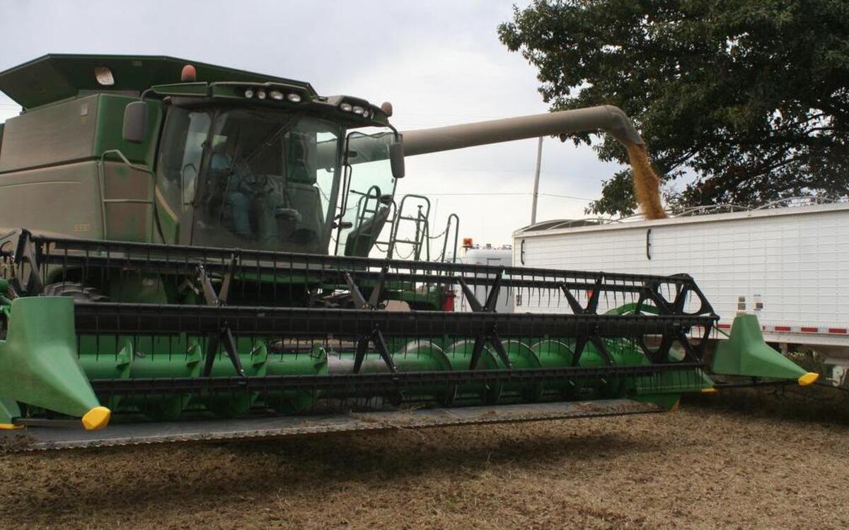 Bernard Martin, 78, fills a truck with soybeans on his farm in St. Jacob.