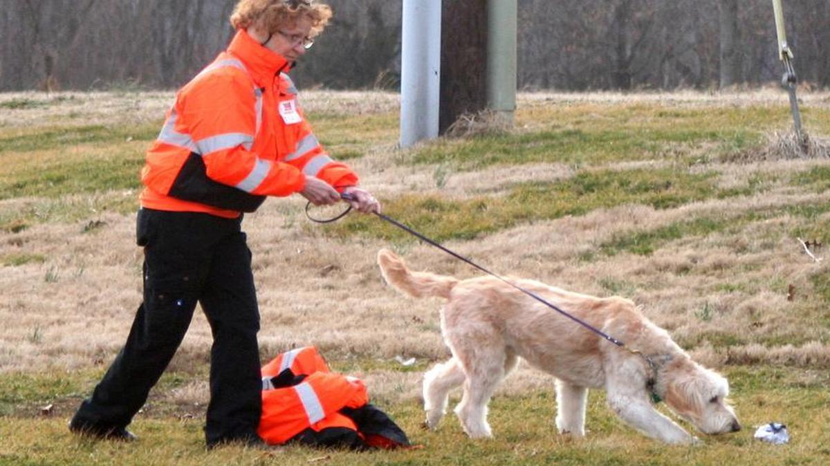 Bernadine Zinda of Walshville, Ill., and her dog, Abby, a 4-year-old Labradoodle, participate in a mock rescue on Feb. 18 at Triad Middle School.