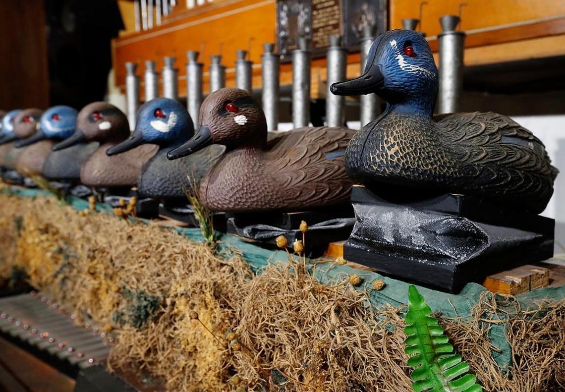 Some of the automated ducks owned by Jack Moelmann at his O’Fallon home.