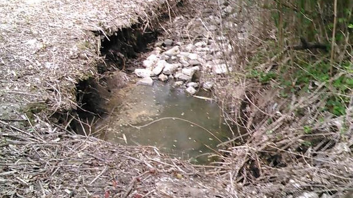 Image of the the drainage waterway running along the back of Don and Ann Dzengolewski’s property. On the left is where the couple cleared all vegetation and trees and covered the ground in hay. The clearing leaves the opposing side of the channel reinforced, causing erosion to increase on the Dzengolewski’s side.