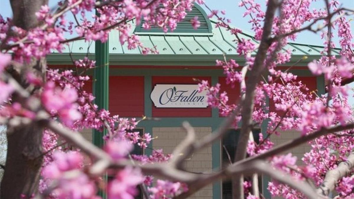 WalletHub ranks O’Fallon as the third best city in Illinois to raise a family.