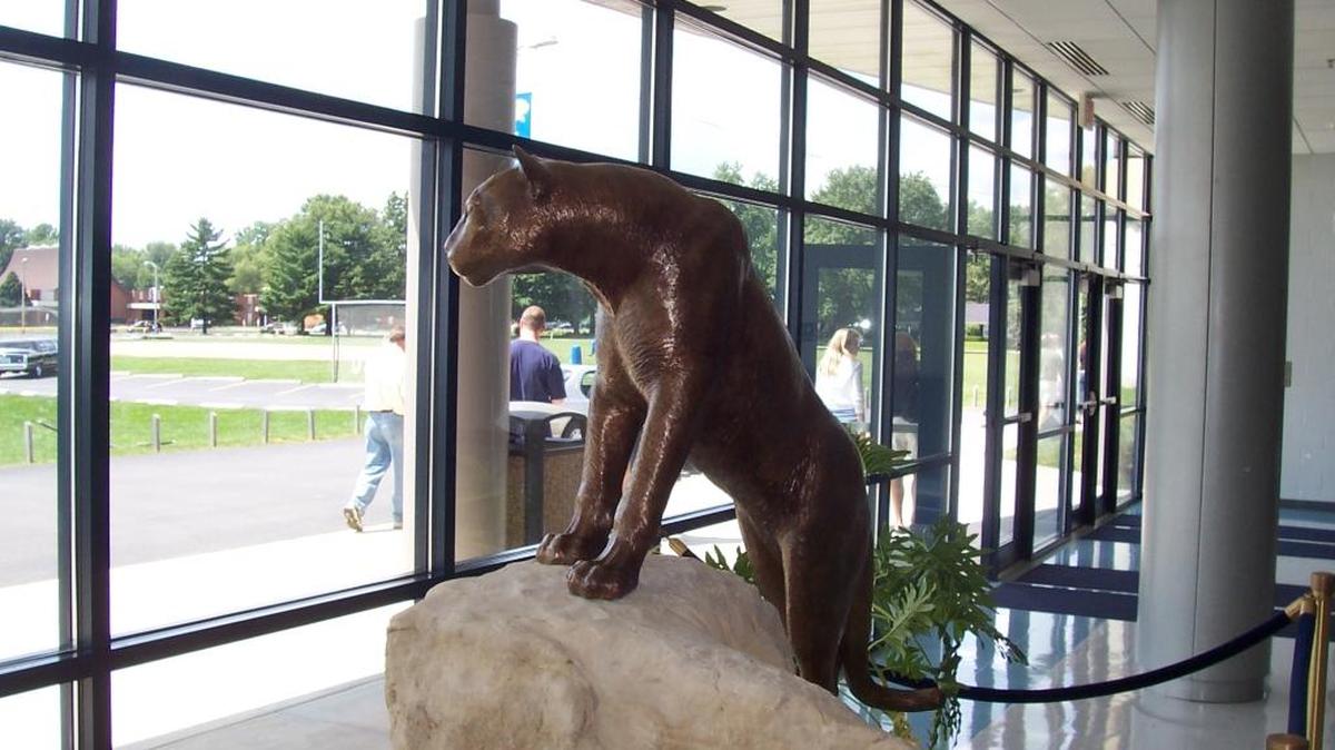 O’Fallon Township High School Panther Dome located at 600 Smiley Street in O’Fallon.
