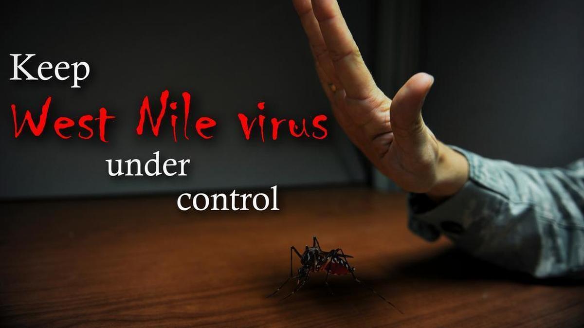 On June 20, the St. Clair County Health Department reported finding West Nile Virus positive mosquitoes for the first time this season. About one in 150 people who are infected develop a severe illness affecting the central nervous system, such as encephalitis (inflammation of the brain) or meningitis (inflammation of the membranes that surround the brain and spinal cord).