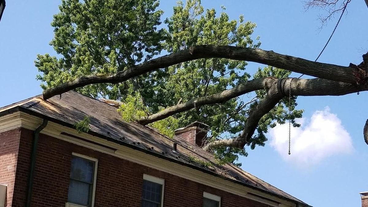 A fallen tree branch damaged this home in Scott Air Force Base housing during a storm in May 2018. Severe thunderstorms can produce winds up to 58 miles per hour and cause trees to fall and damage property. Following a thunderstorm, people should check their property to see if there is any risk of fallen trees to branches. Photo by Staff Sgt. Daniel Norris