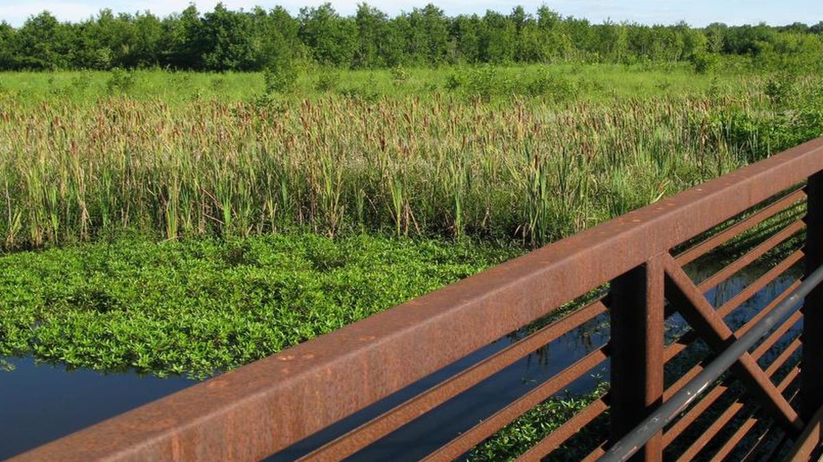 An open house event will be held to inform the public about the Lower Silver Creek Watershed Plan from 6-8 p.m. Feb. 22 at Klucker Hall in Shiloh, 14 Park Drive. The Lower Silver Creek Watershed Plan is a way to strategically address water quality, flooding, and stormwater issues in the area that drains to Silver Creek in St. Clair County.