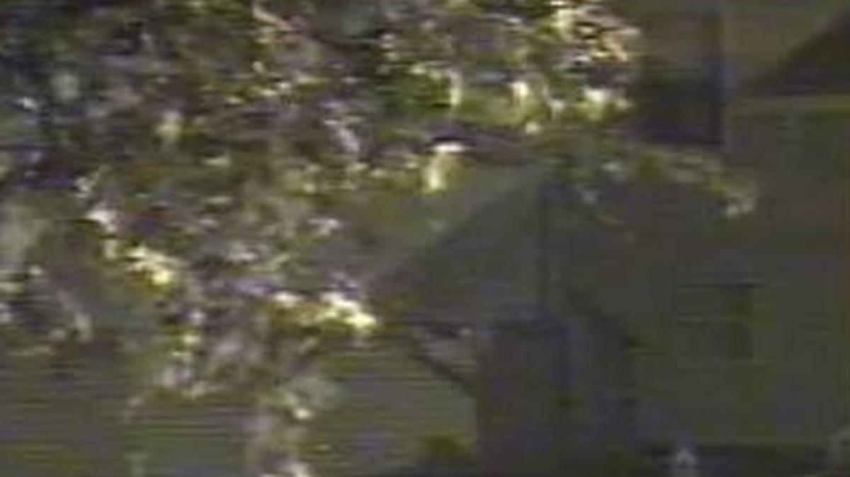 O’Fallon police are looking for a suspect or suspects accused of stealing from at least one vehicle on Carol Ann Drive.