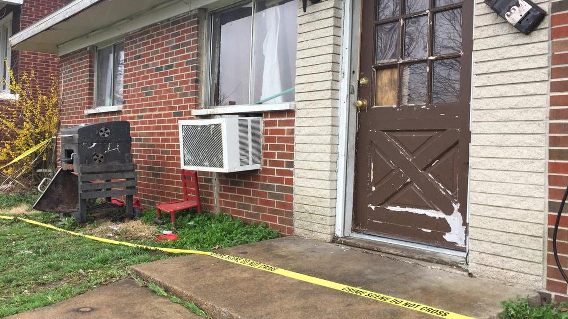 A woman was shot in the head and the gunman then shot himself at 624 N. 41st St. in East St. Louis, police said. The woman survived, but not the man.