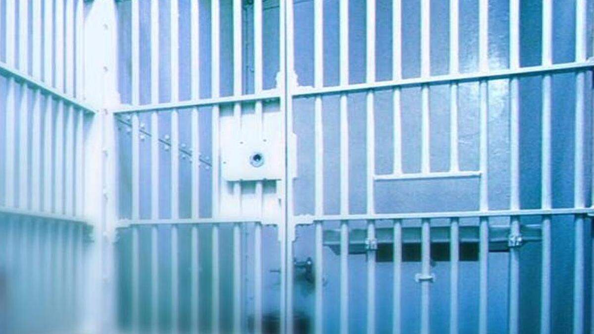 Adam Bernaix pleaded guilty to felony counts of mail fraud and money laundering in federal court.