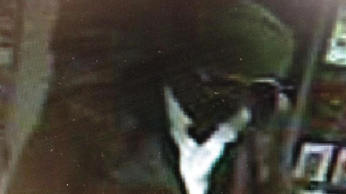 This grainy surveillance photo shows the suspect in the Moto robbery early Wednesday morning in Mascoutah.