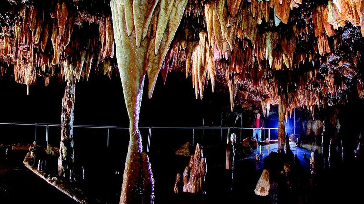 Meramec Caverns, a major tourist attraction in Missouri, is temporarily closed off to visitors due to unsafe levels of TCE, according to the Environmental Protection Agency. The show cave has been temporarily closed since March.
