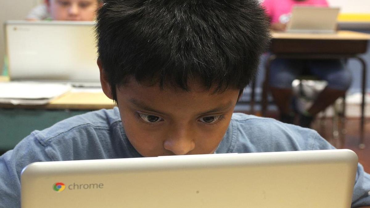 A Belleville fifth grader in 2013 uses a Chromebook during an exercise combining language arts and science.