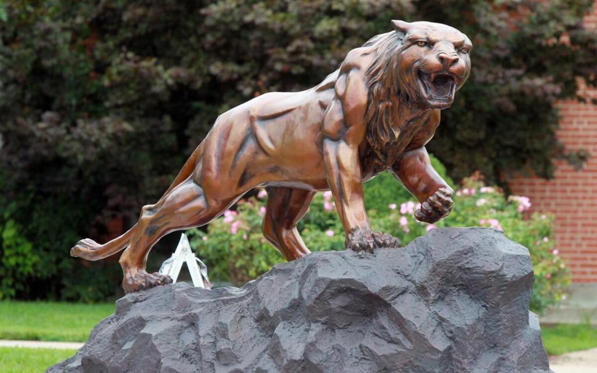
A 2,500-pound McKendree Bearcat statue was moved into place on the quad sidewalk between Holman Library and the circle drive fountain on the McKendree University Campus in 2014.
