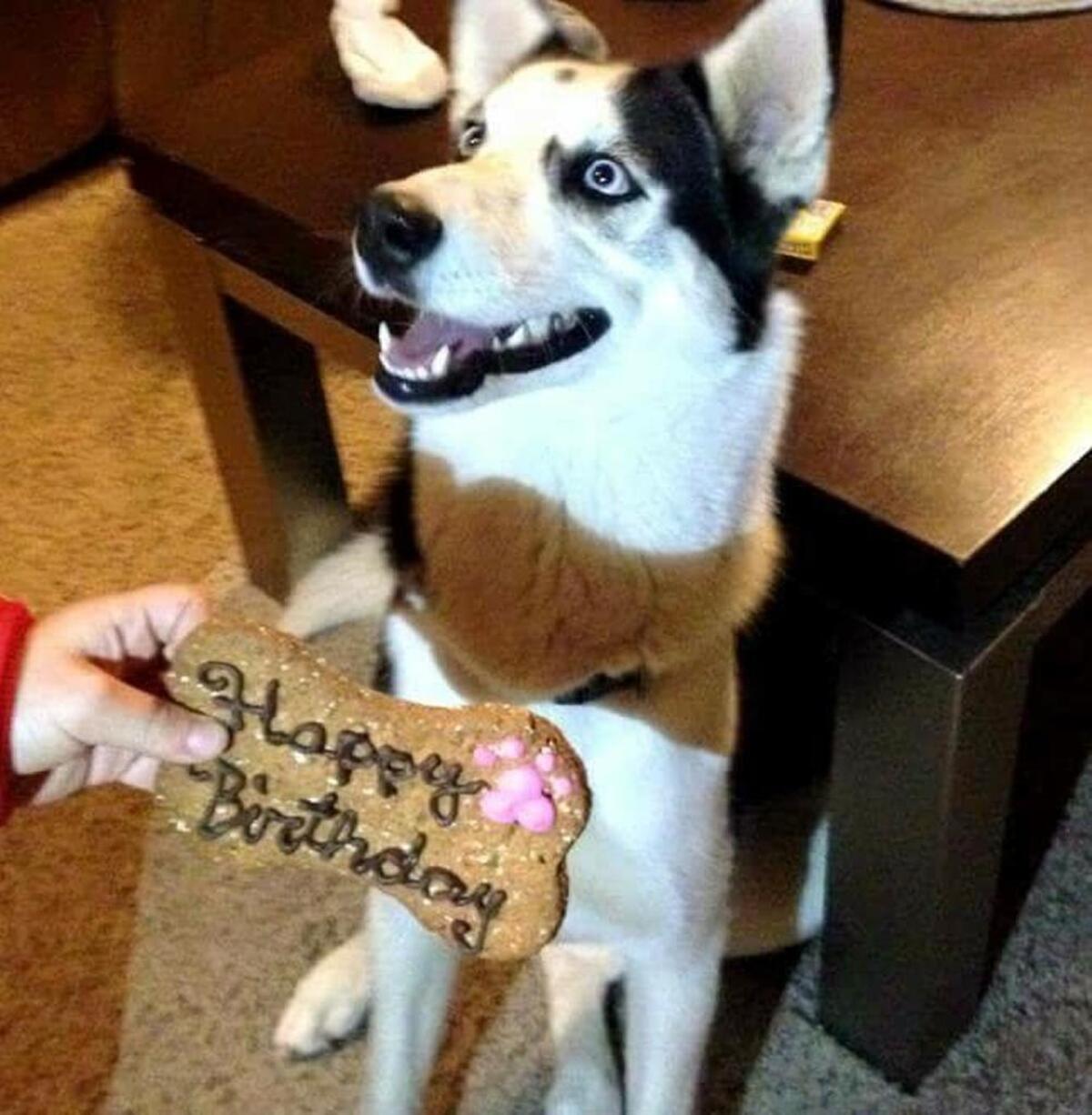 Lelu would have turned 3 on Dec. 22, three days after she died.