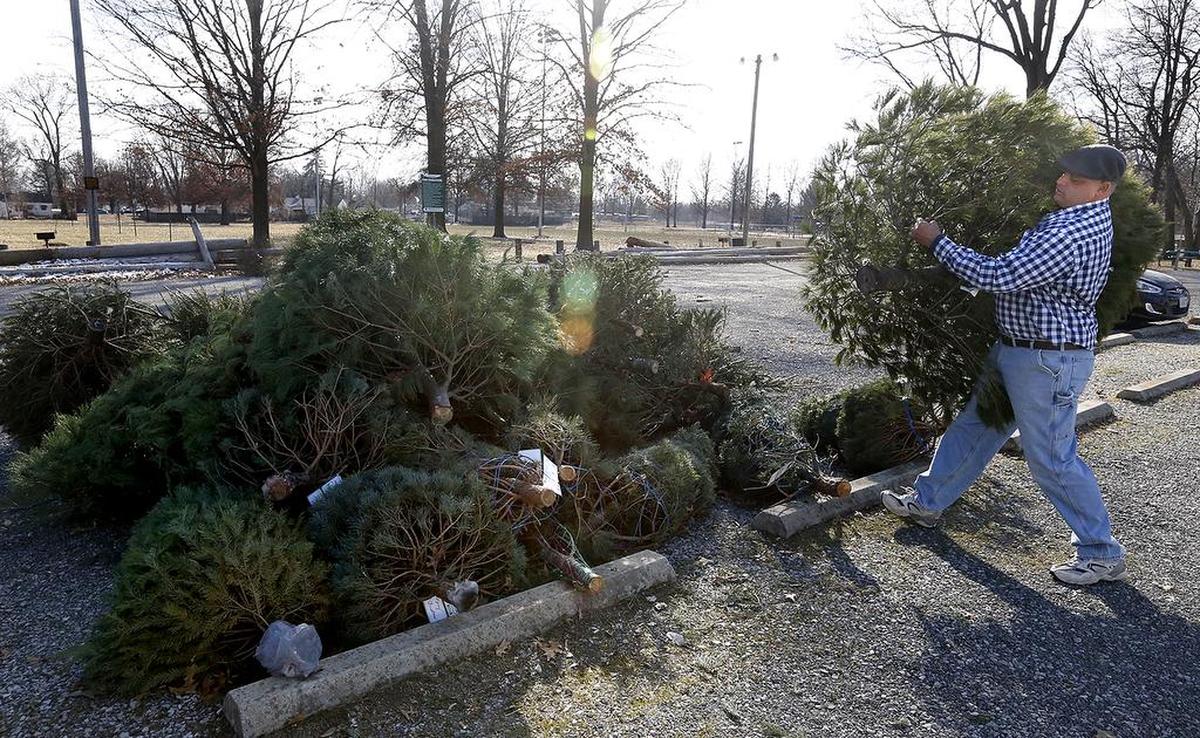 Christmas tree drop-off sites will be available for people who want to recycle their trees in the metro.