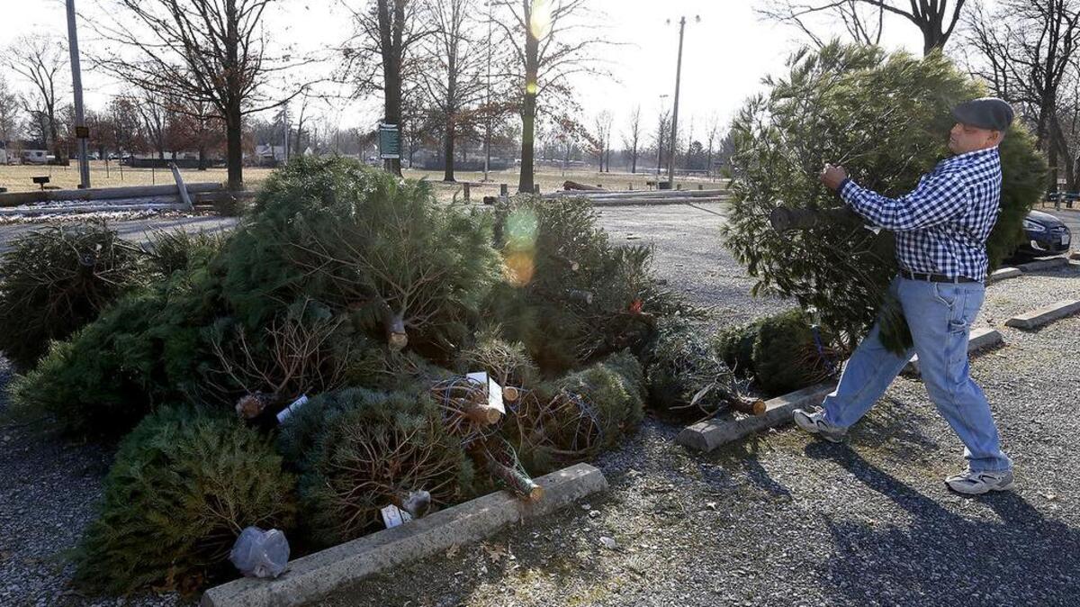 Where to get rid of your Christmas tree around Kansas City | Kansas ...