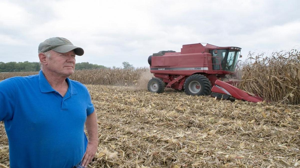 David Tiedemann looks out on a field located near Shiloh Station Road where his son, Daniel Tiedemann, was harvesting corn. Tiedemann also grows soybeans.