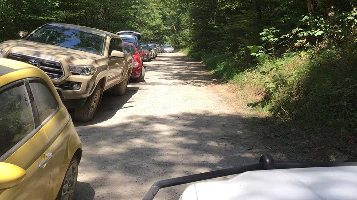 Several Shawnee National Forest areas temporarily closed for safety concerns due to overcrowding from visitors to see the 2017 total solar eclipse in Southern Illinois.
