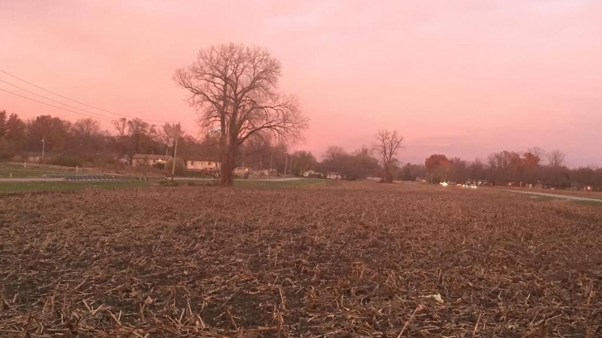 Vacant lot where a body was found in Cahokia, behind the Walmart on Camp Jackson Road.