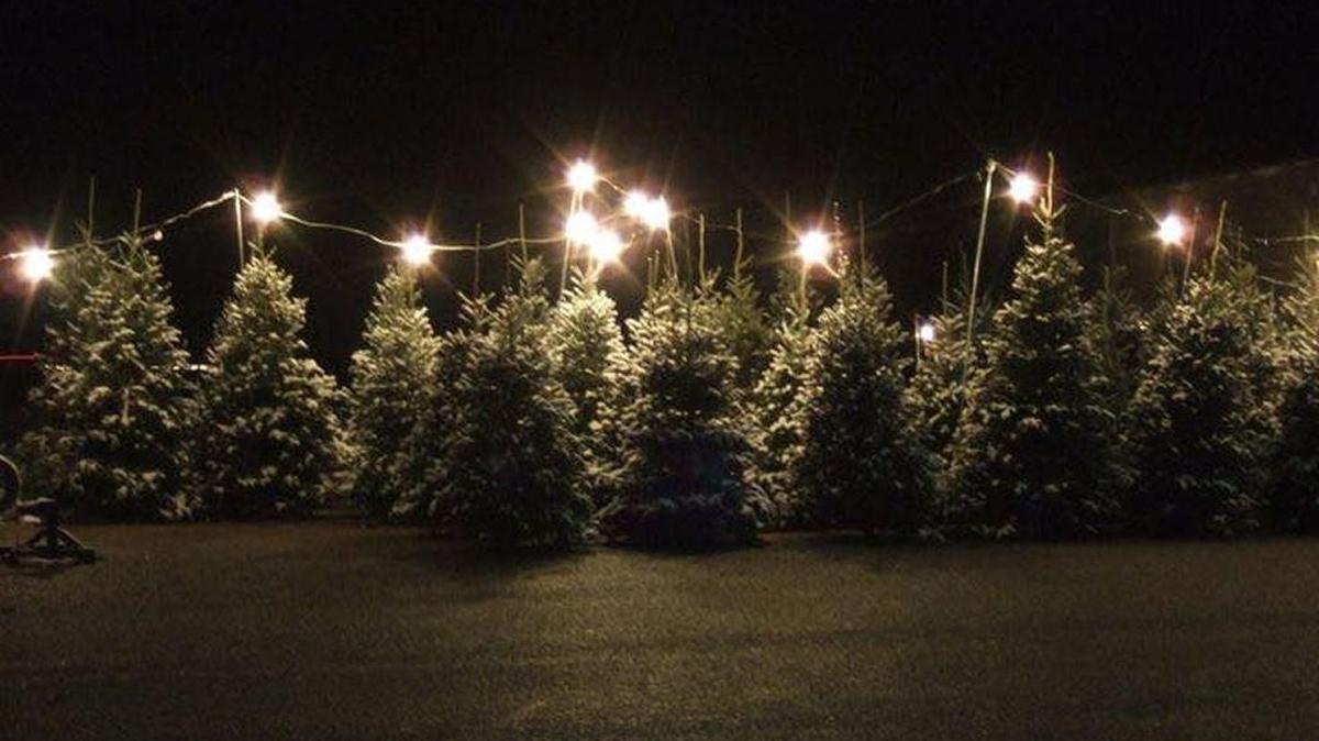 The Shriners’ Christmas tree lot in Wood River.