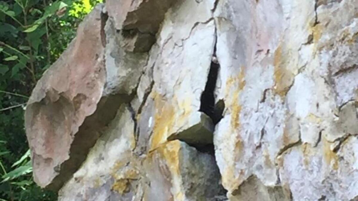 The Maeystown Stone Bridge needs more than $30,000 of repair work.