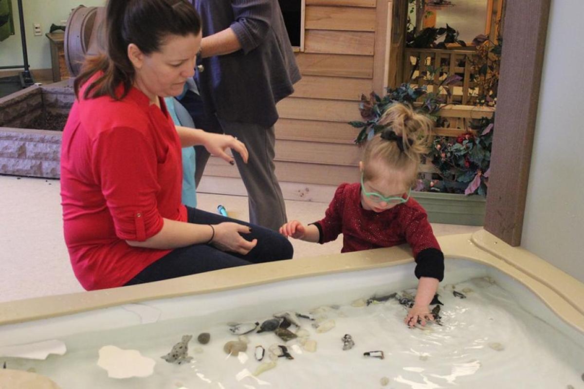 The St. Louis Zoo sponsors Sensory Saturdays on the second Saturday of each month at its Monsanto Education Center with reduced noise and a calming area with pillows and fidget therapy toys.
