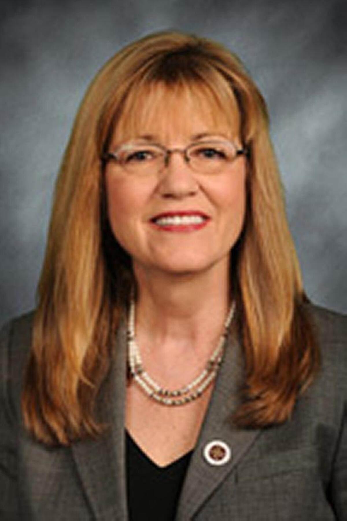Sen. Melinda Bush, D-Grayslake, sponsored legislation that would require Illinois doctors to check the state’s Prescription Monitoring Program, but after passing the Senate without a “no” vote, it was shelved in the House.