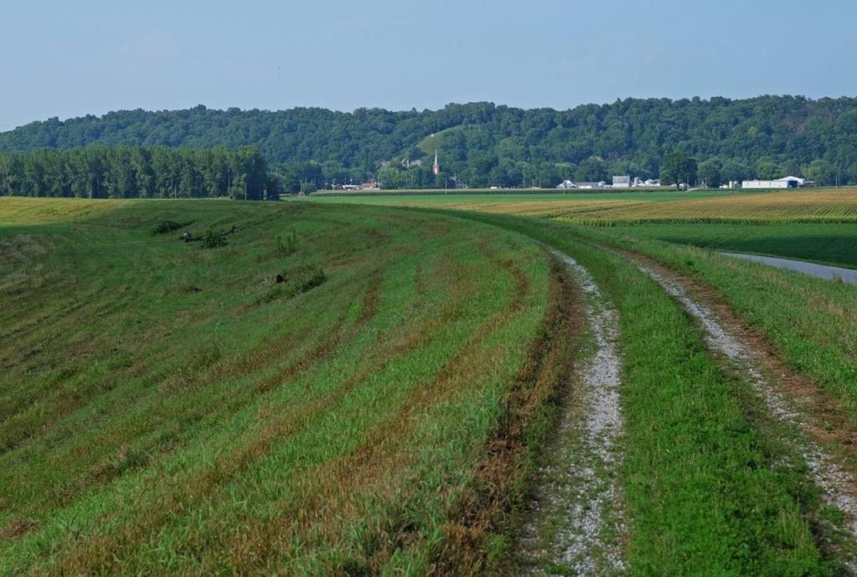 Levees such as this are designed to protect property from floodwaters.