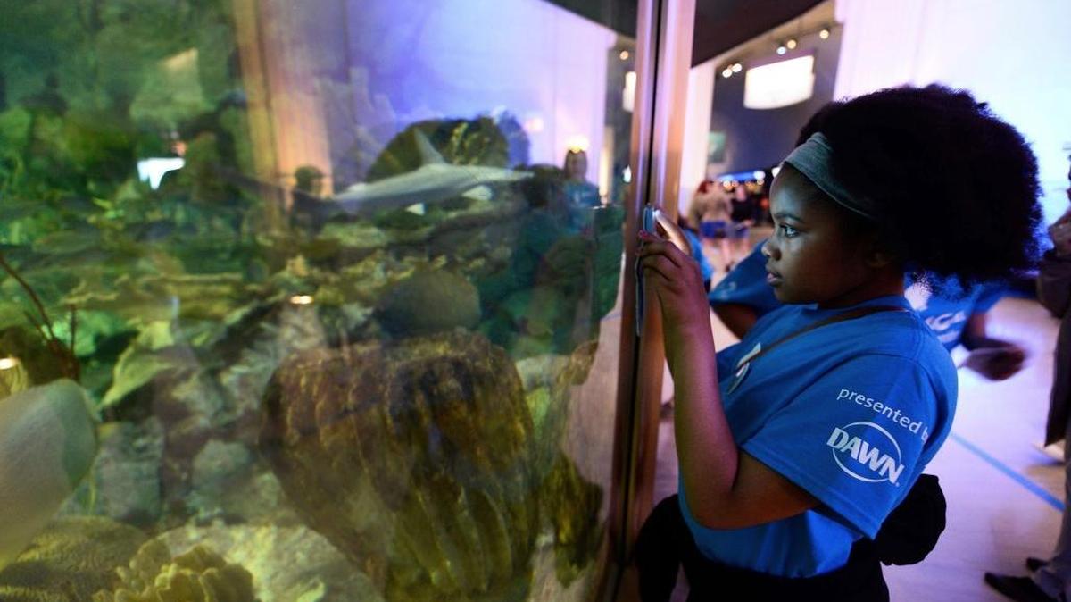 Admission to the Shedd Aquarium in Chicago is free Thursday and Friday and Jan 22 through Jan. 26 to Illinois residents, but tickets should still be reserved and there is a $3 transaction fee to do so online. General admission is also free on Feb. 2 and Feb. 14 for Illinois residents.