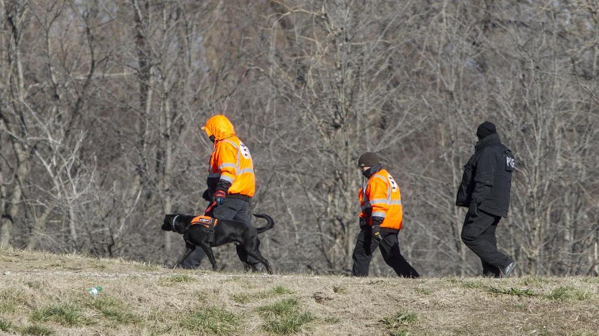 Searchers walk the levee of the canal that runs along a wooded area and intersects Illinois State Route 3 in Cahokia on Tuesday where a hunter planned to search for game Monday afternoon.