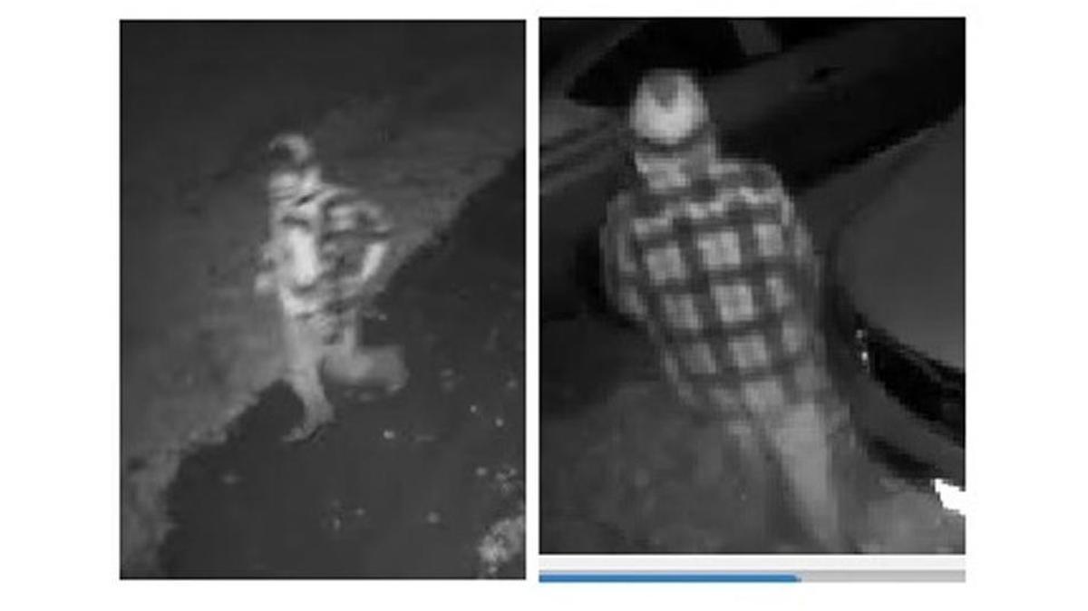 Police were asking the public for help identifying a person they say stole electronics from at least eight vehicles early Wednesday morning in Rosewood Heights.