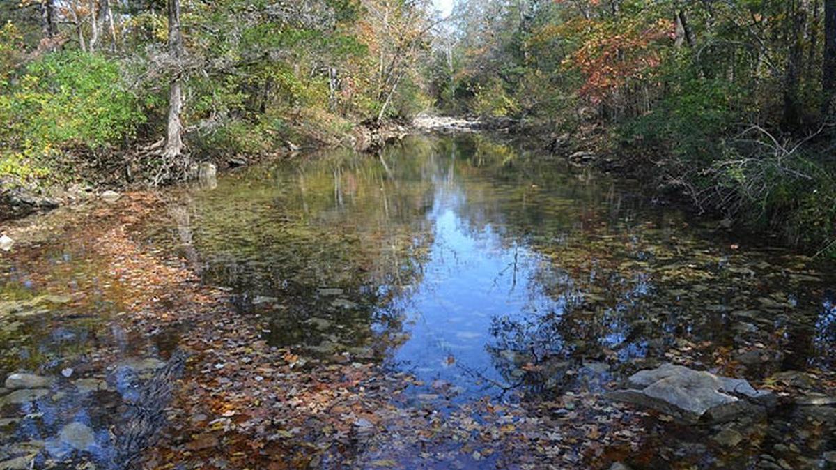 Ozark Mountain State Park includes nearly two miles of Roark Creek.