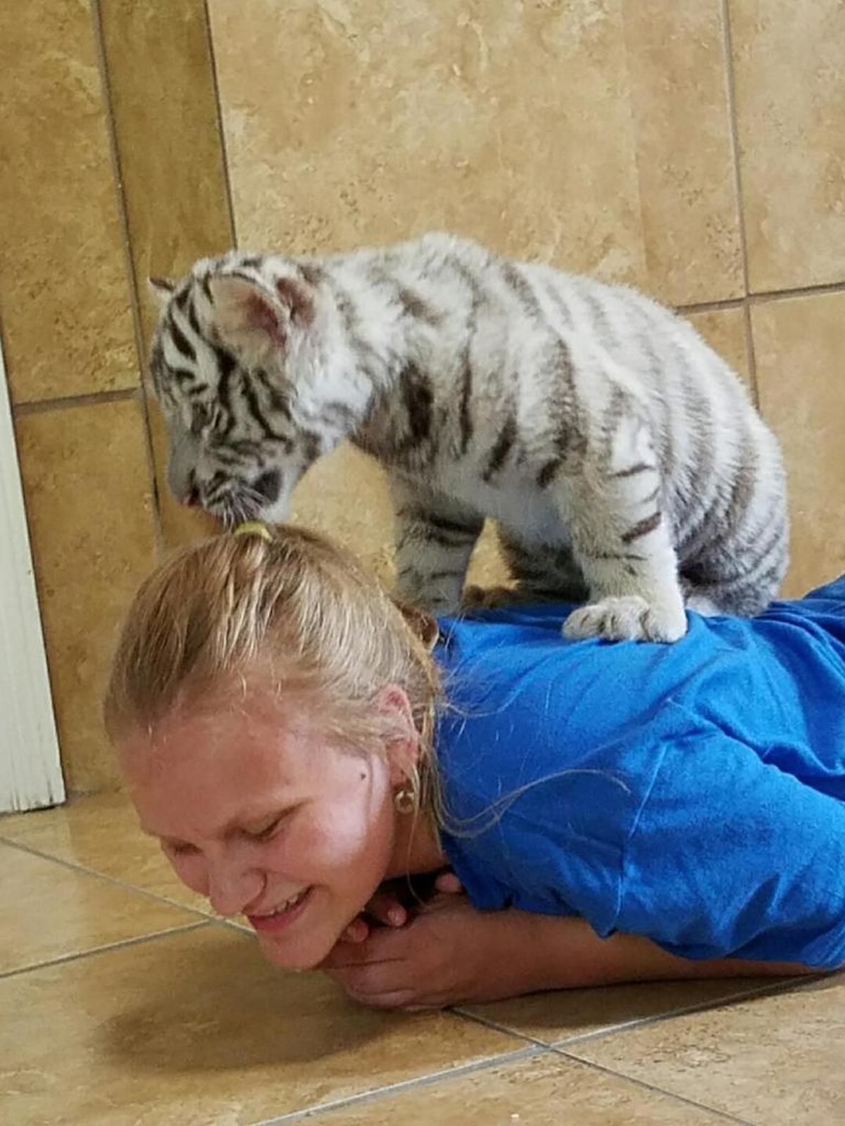 Through Make-A-Wish Illinois, Allison Higgins, 12, of Belleville, was able to make her dream of playing with a white tiger come true.