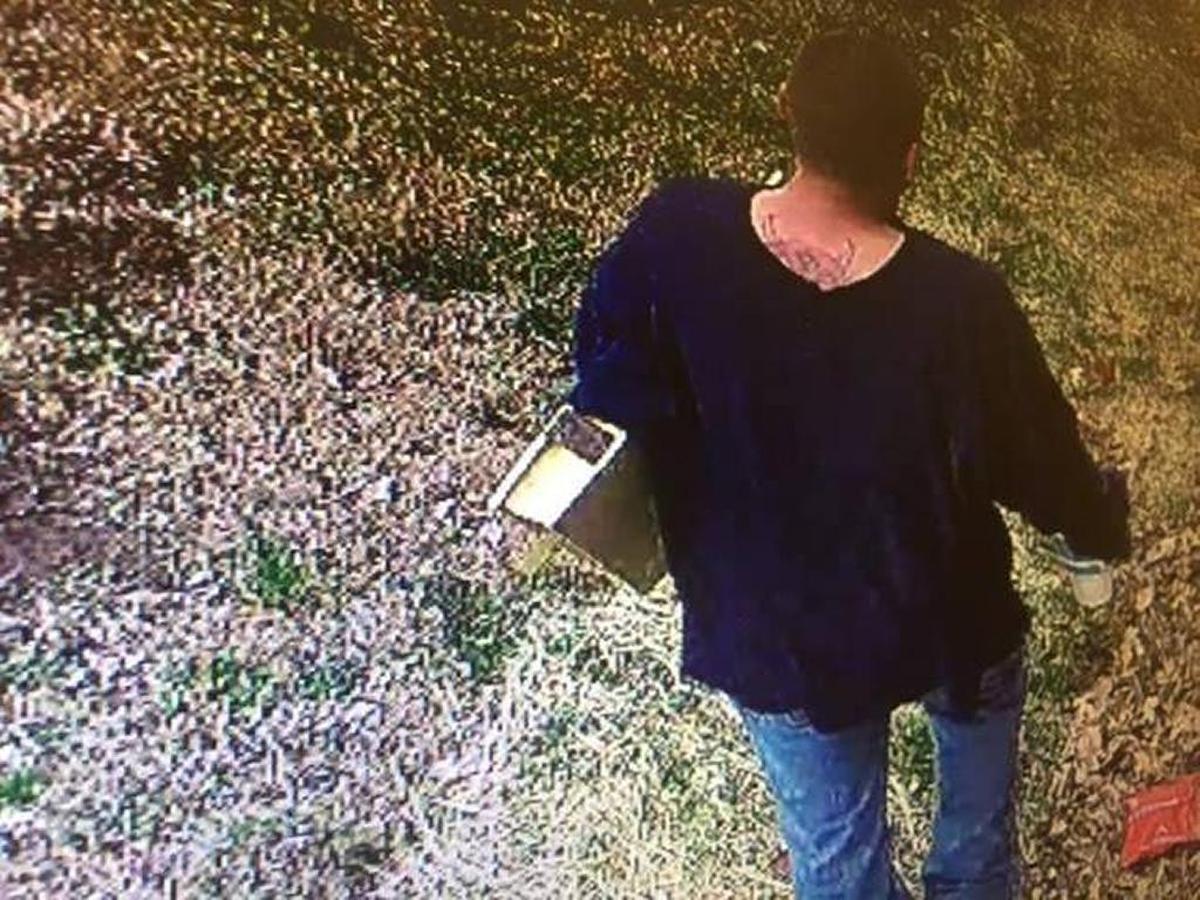 Surveillance video captured an image of a man apparently stealing the special edition copy of “Mein Kampf.”
