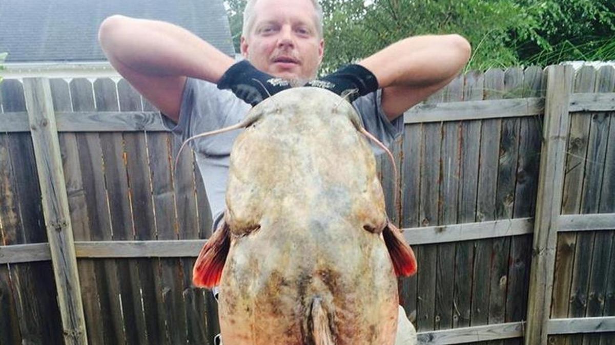 
James Klauzer and the 81.4-pound flathead catfish he caught from Sangchris Lake in the Springfield area early Saturday.

