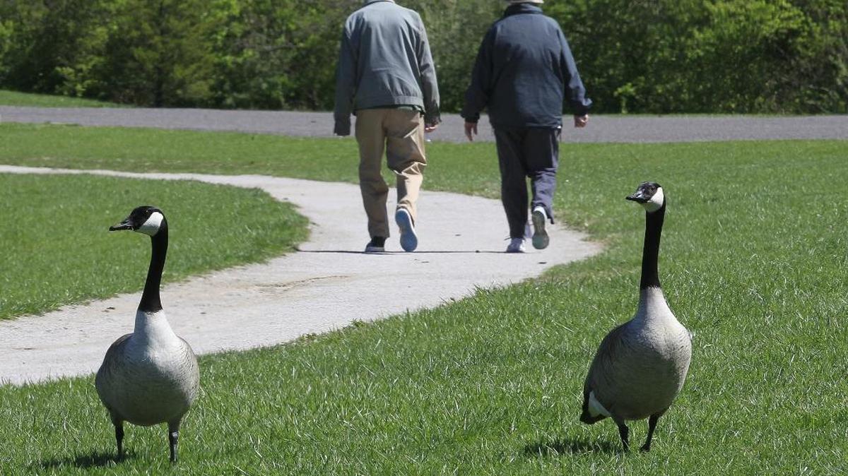 In this file photo, a couple takes advantage of pleasant weather as they walk the trail that winds around the lake and through Moody Park in Fairview Heights.
