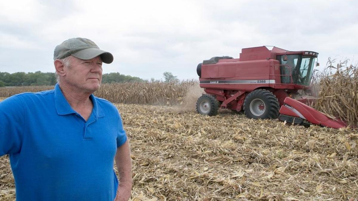 David Tiedemann, a local grain farmer and Republican St. Clair County board member, looks out on a field located near Shiloh Station Road where his son, Daniel Tiedemann, was harvesting corn. Tiedemann also grows soybeans.