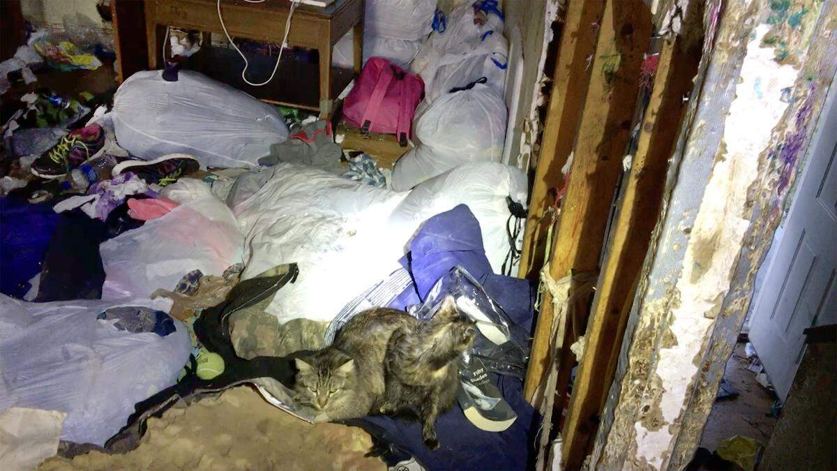 cats trash Elkins sleeping area