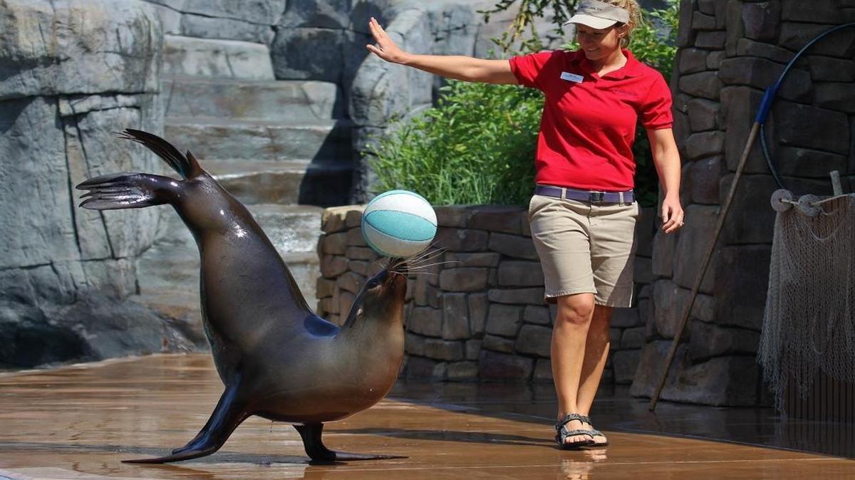 The St. Louis Zoo has been ranked No. 6 in the world and No. 2 in the U.S.