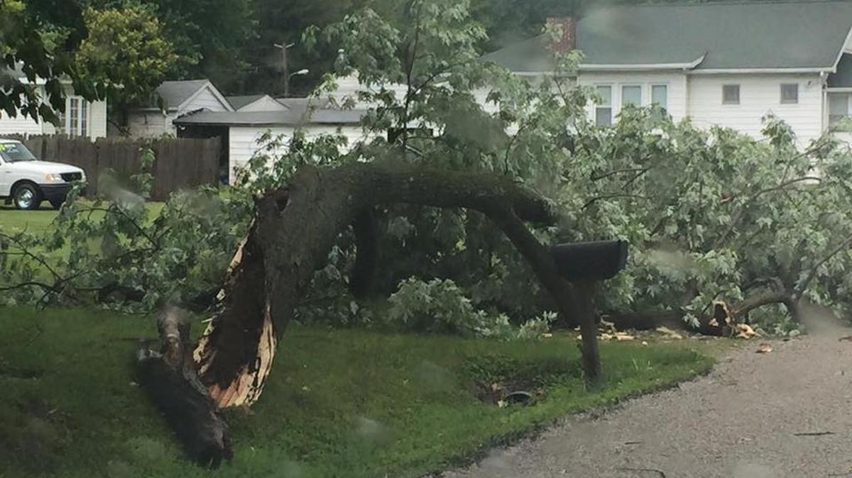 On Tuesday, the St. Clair County Emergency Management Agency reported several wires and trees down, mostly in Fairview Heights and Caseyville areas.
