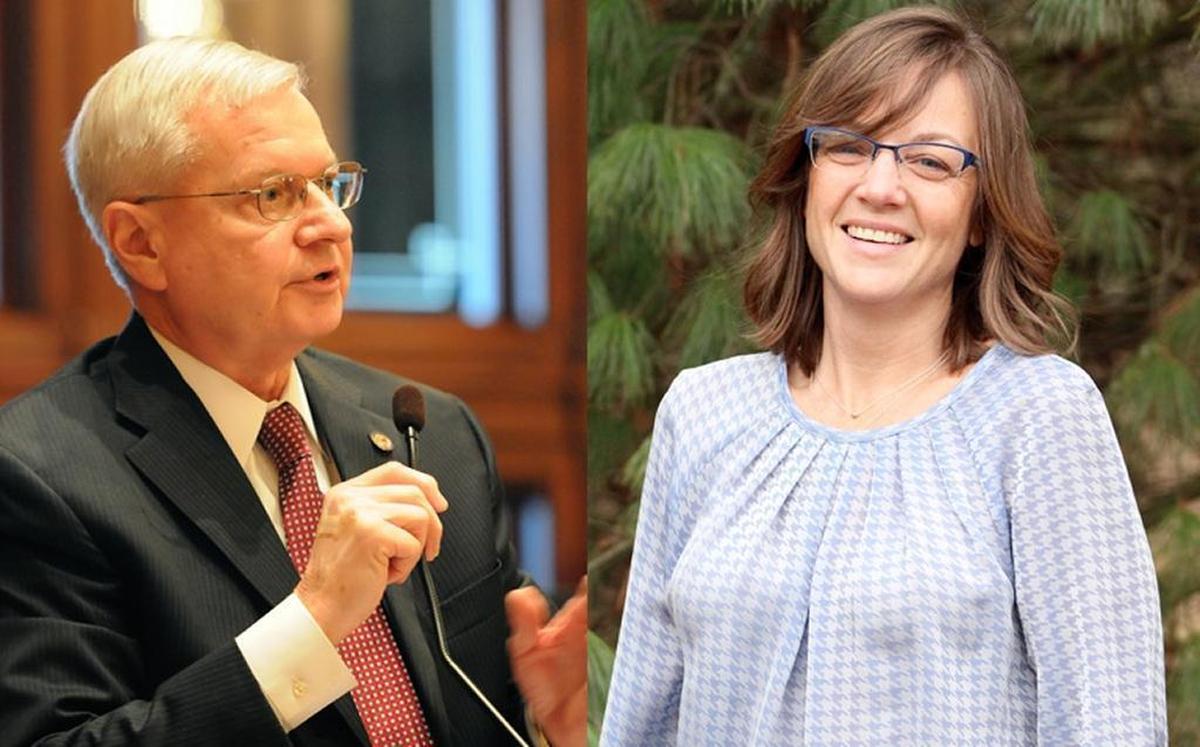 Former Republican state Rep. Dwight Kay, left, is in a rematch against state Rep. Katie Stuart, D-Edwardsville.