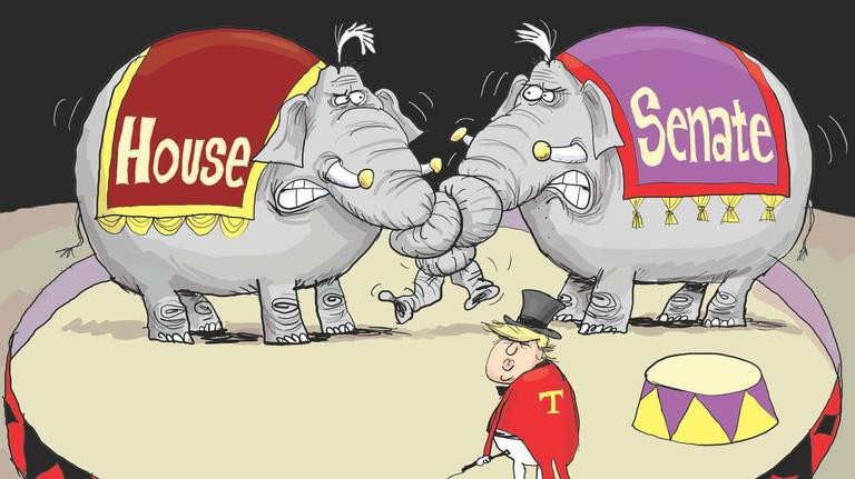 Glenn McCoy: Tangled