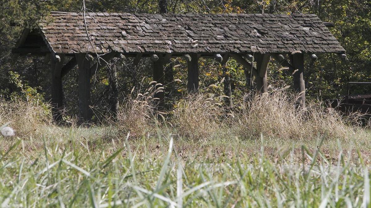Tall weeds grow at the edge of the road at the Crappie Cove Picnic Area at South Shore State Park on Carlyle Lake. The shelter in the background is decaying, and has numerous large holes in the roof.